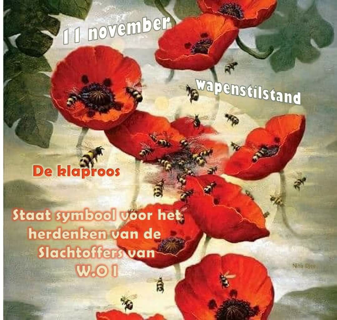 Pin van Morgenster op Feestdag | Feestdag, November, Seizoenen - Is 11 November Een Feestdag In Nederland