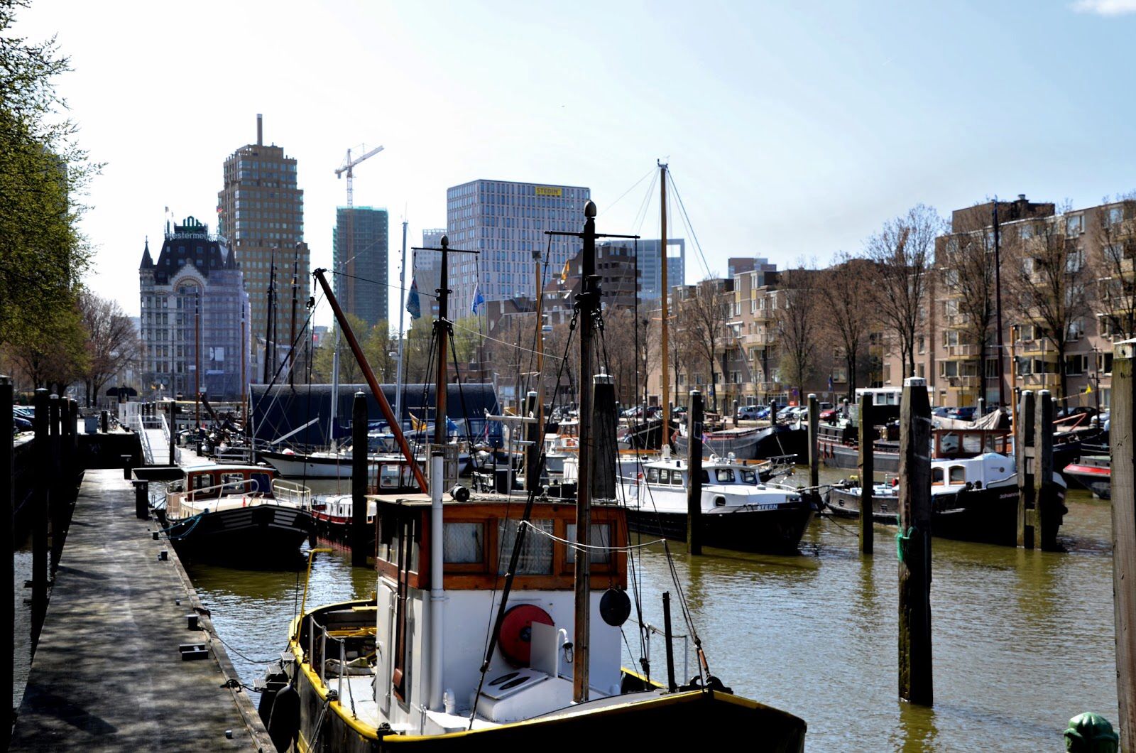 Huisarts Stad Aan Het Haringvliet