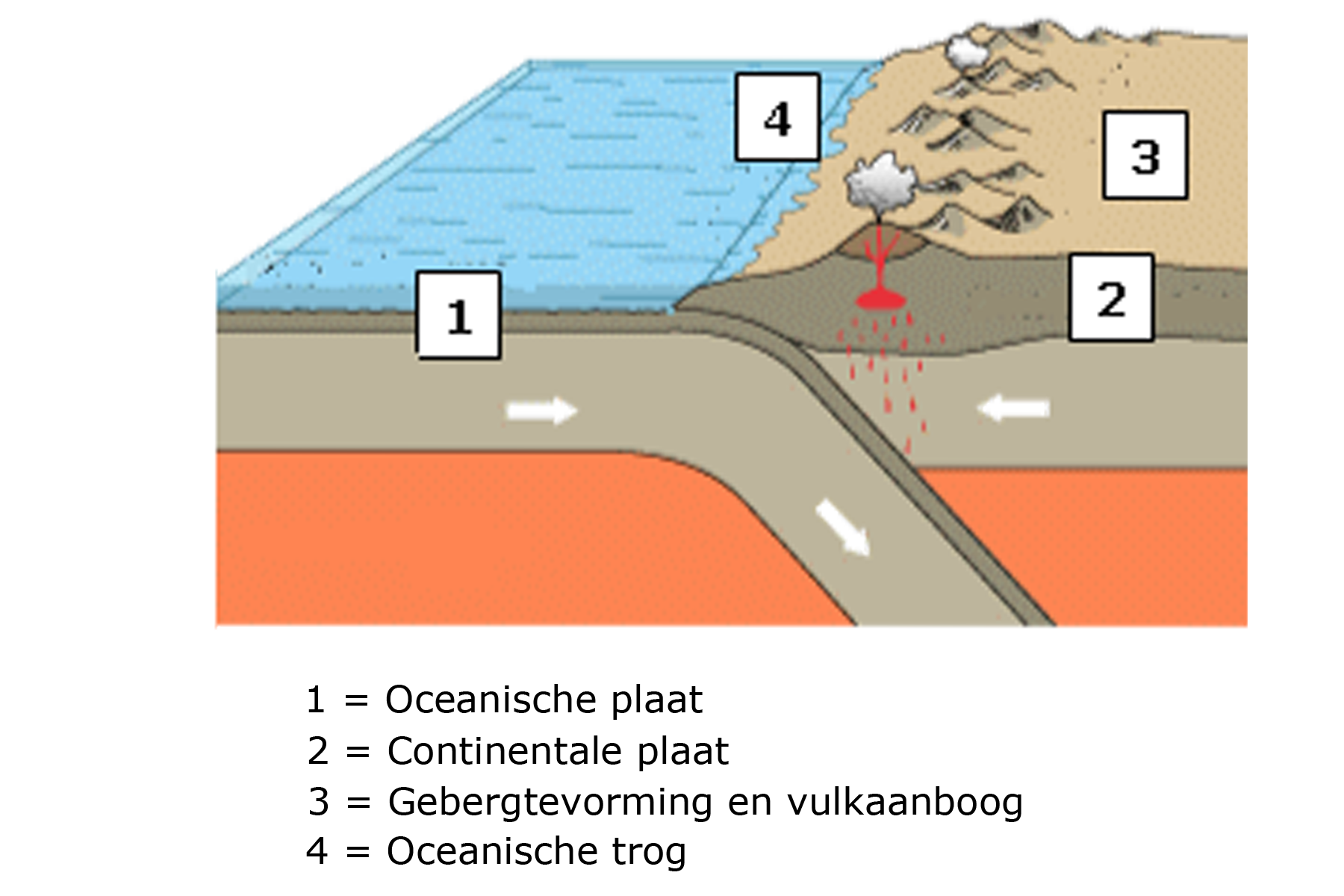 Plaattektoniek - Lesmateriaal - Wikiwijs - Oceanische Plaat En Continentale Plaat