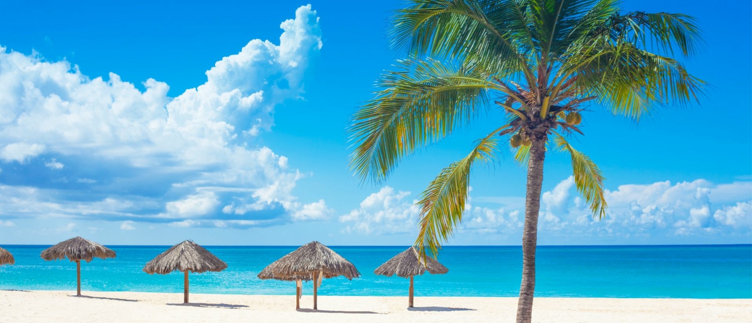 Wanneer Is De Eerstvolgende Vakantie
