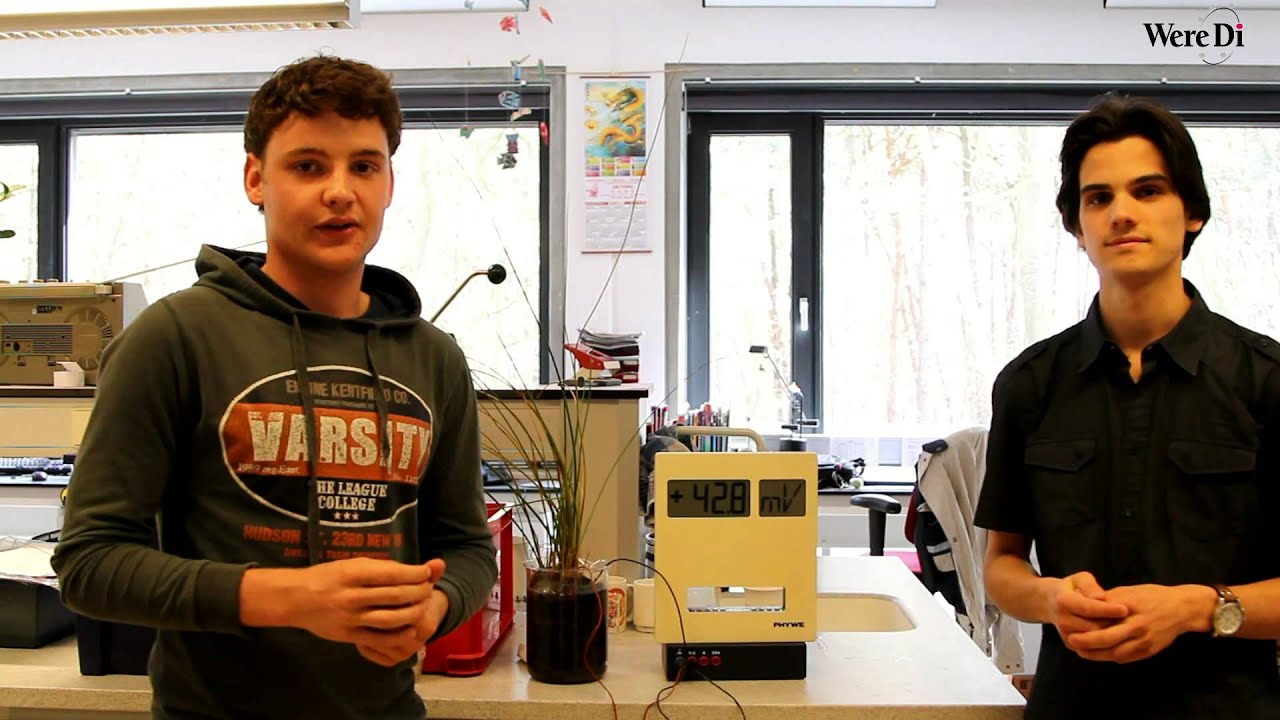 Scholengemeenschap Were Di Merendreef Valkenswaard