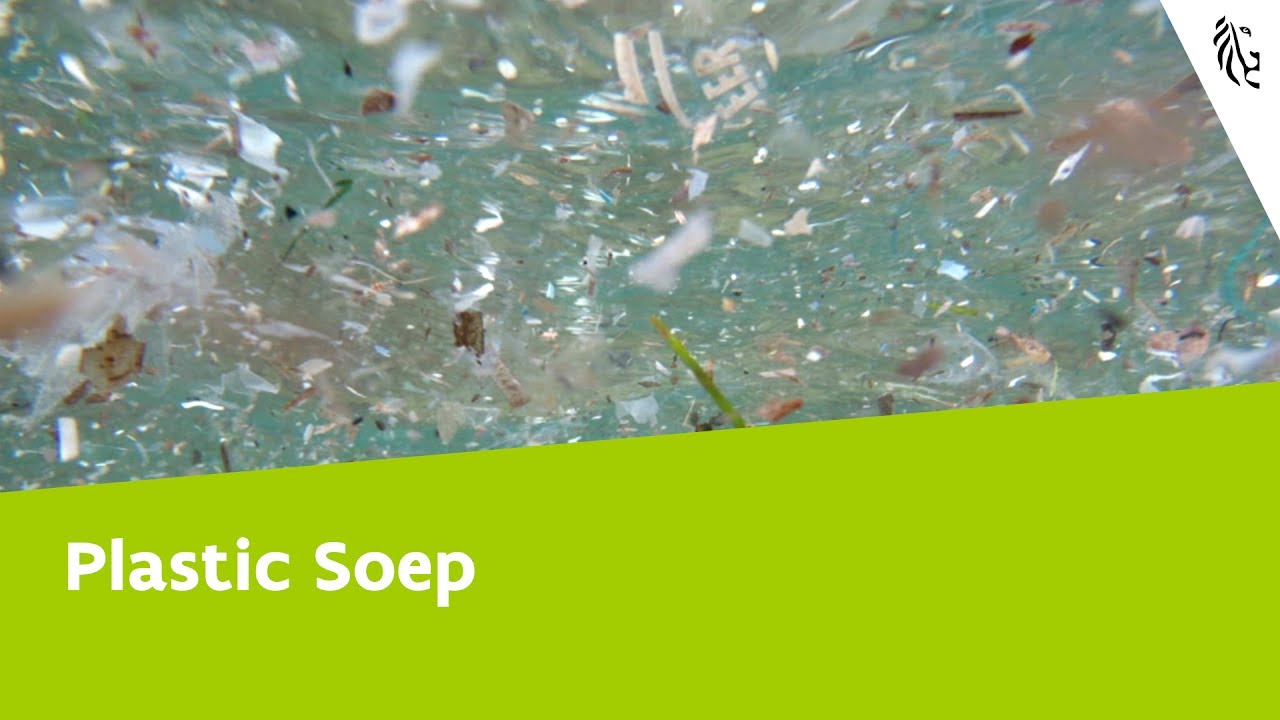 Hoe Is Plastic Soep Ontstaan