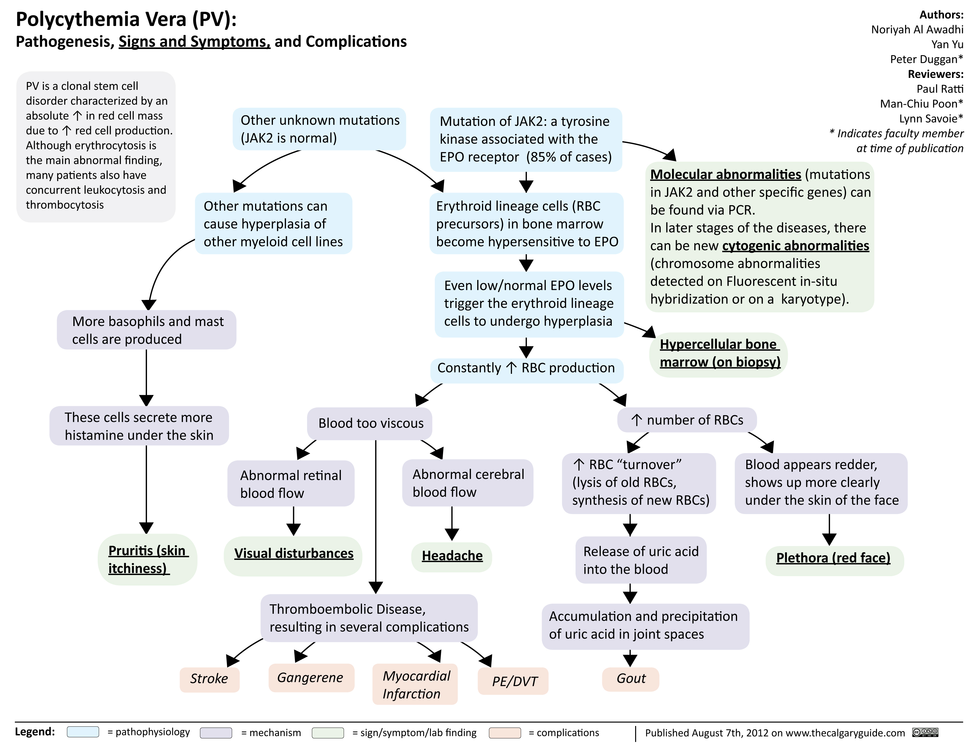 Polycythemia Vera (PV) | Calgary Guide - Maligne Lymfomen En Polycythaemia Vera