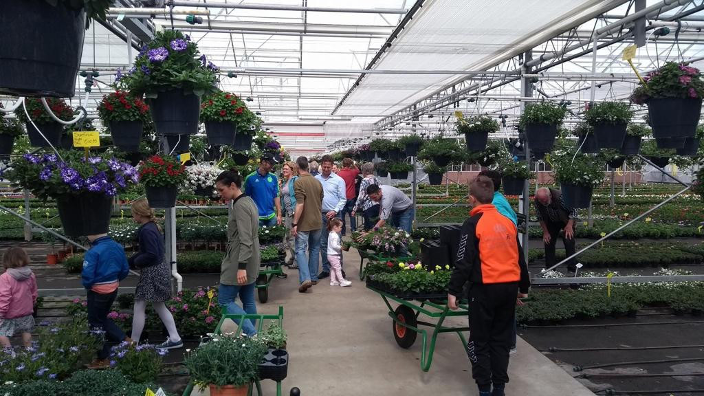 Populaire perkplantenkweker uit Hulshorst gaat na sluiting tóch weer - Van De Berg Hulshorst
