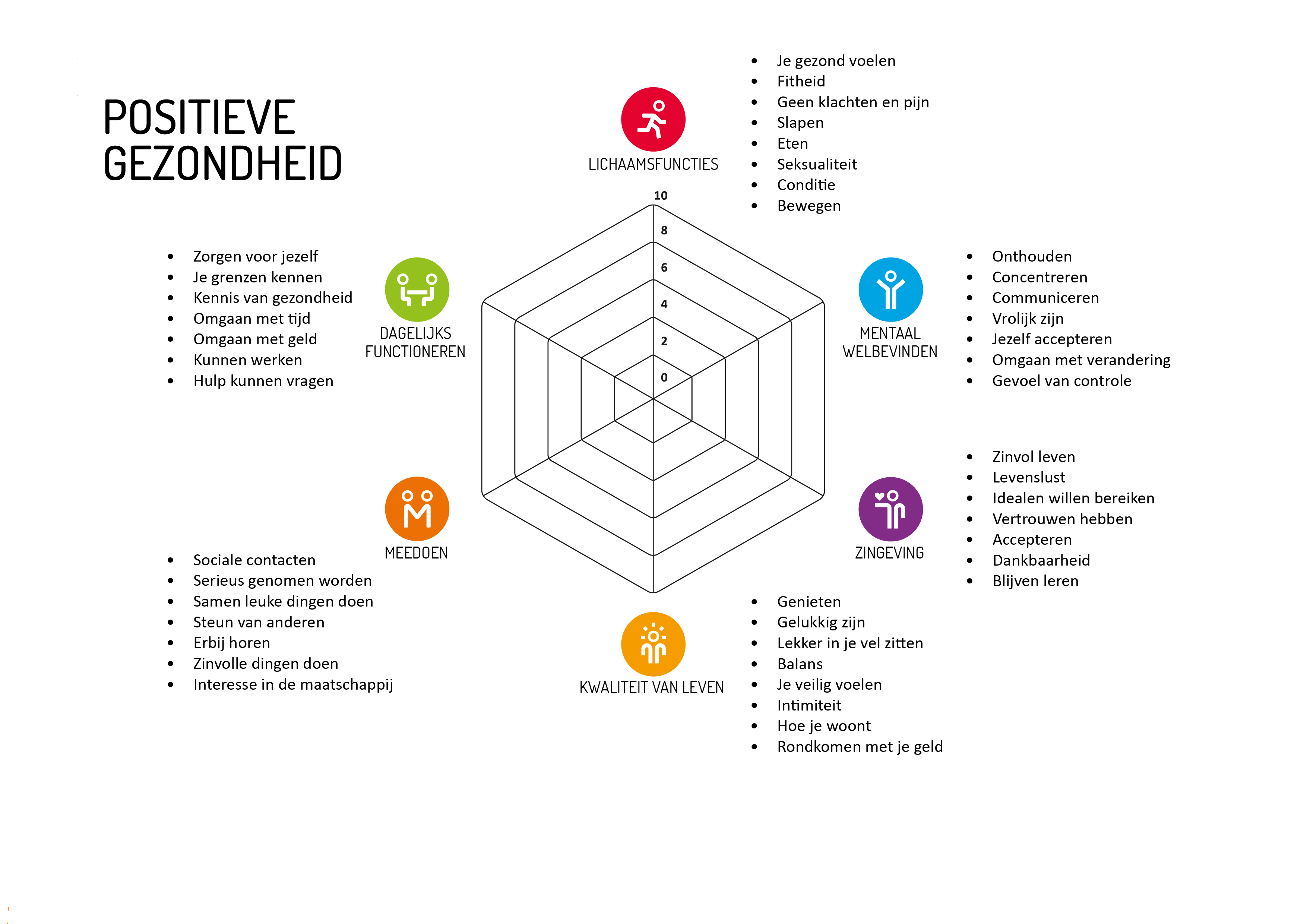 Positieve Gezondheid - Wat Is Het Spinnenweb Van Positieve Gezondheid