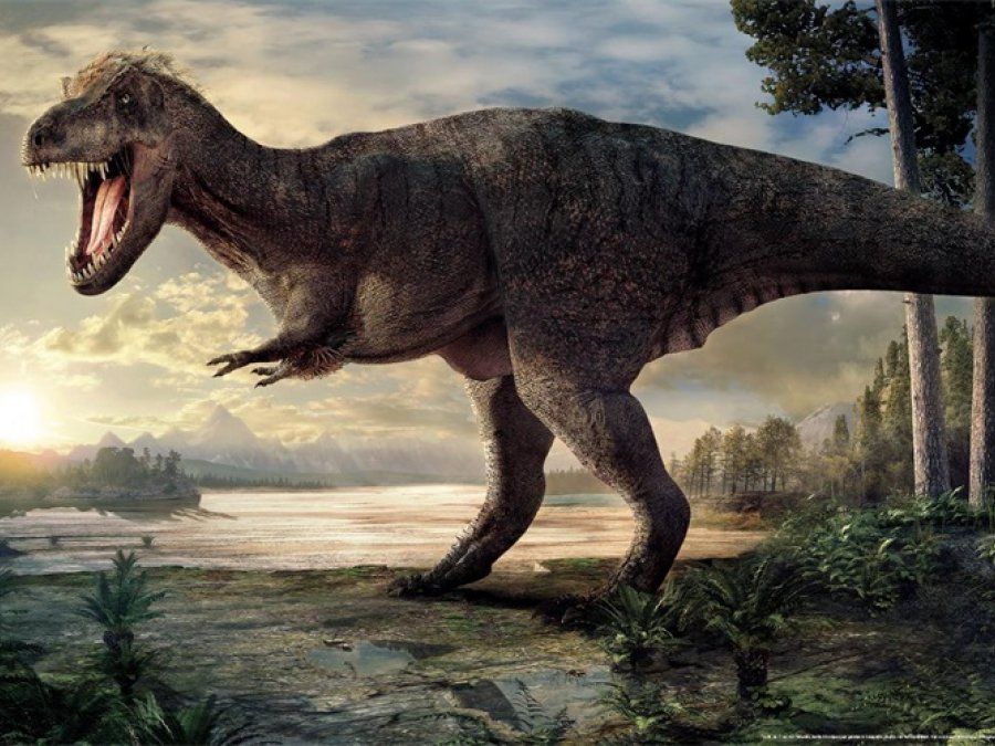 Poster: T-rex Naturalis | POS009 | Tyrannosaurus rex, Tyrannosaurus - Hoe Lang Geleden Leefde Dinos