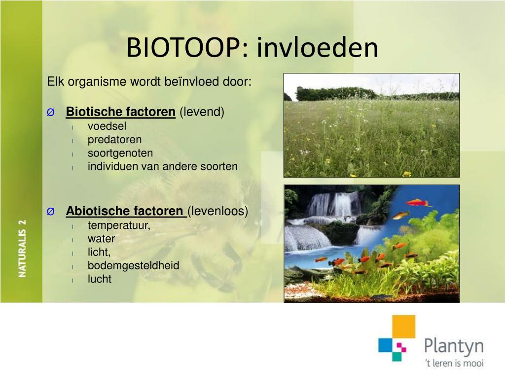 PPT - DEEL 1 Organismen vormen een levensgemeenschap PowerPoint - Hoe Noem Je Een Organisme Als Het Geen Levenskenmerken Heeft