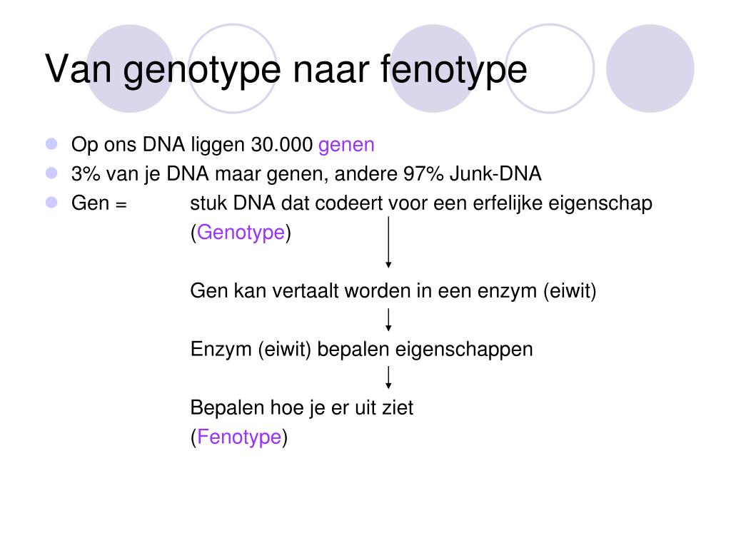 PPT - DNA PowerPoint Presentation, free download - ID:4208481 - Hoe Heet Een Plotselinge Verandering Van Het Genotype