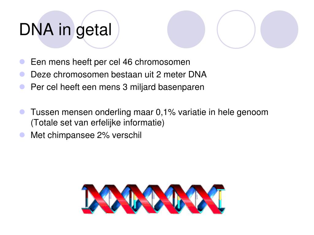 PPT - DNA PowerPoint Presentation, free download - ID:4208481 - Liggen Al Je Eigenschappen Vast In Je Dna