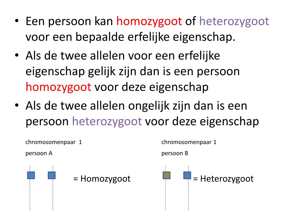 PPT - Erfelijkheid PowerPoint Presentation, free download - ID:1917210 - Drager Van Erfelijke Eigenschappen 3 Letters