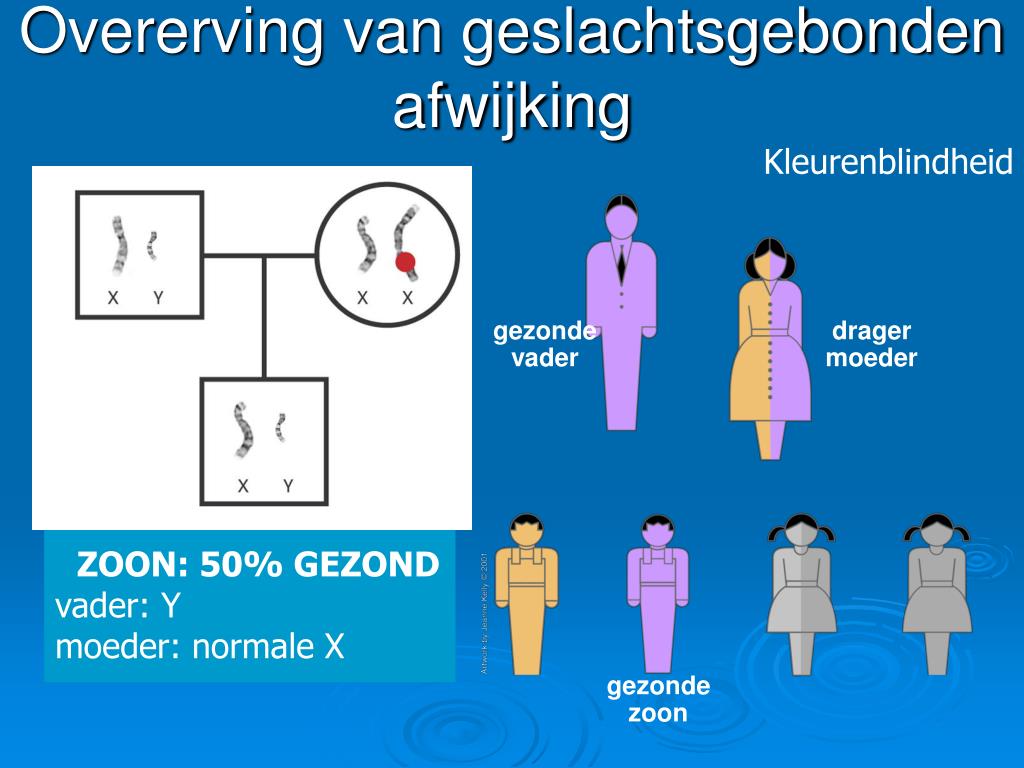 Drager Van Erfelijke Eigenschappen 3 Letters
