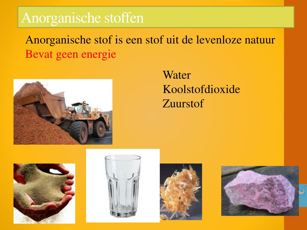 PPT - Examentraining Biologie PowerPoint Presentation, free download - Stof Die Organische Reacties Bevordert