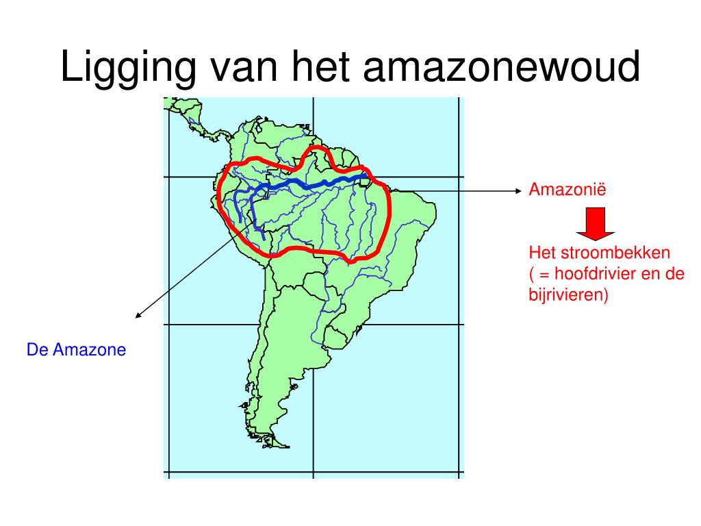 PPT - Het tropisch regenwoud PowerPoint Presentation, free download - Tussen Welke Breedtegraden Ligt Het Amazonegebied