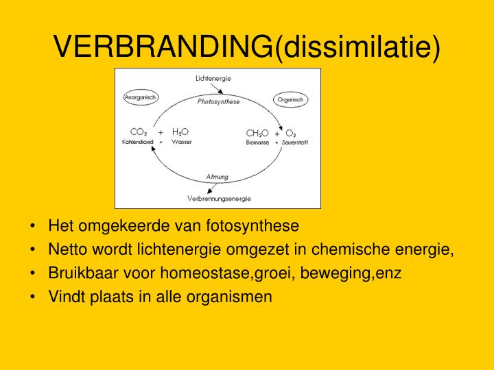 PPT - LEVENSKENMERKEN PowerPoint Presentation - ID:878811 - In Welke Celorganellen Vindt Verbranding Plaats