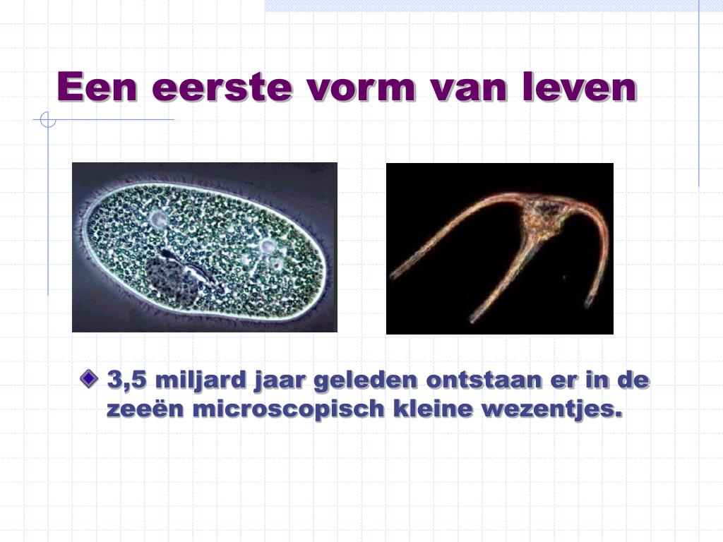 PPT - Ontstaan van leven op aarde PowerPoint Presentation, free - Ontstaan Van Leven Op Aarde