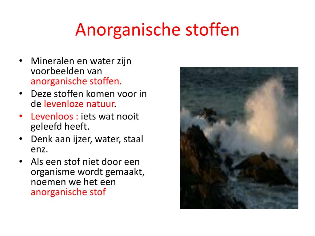 PPT - stofwisseling PowerPoint Presentation, free download - ID:4179084 - Verschil Organische En Anorganische Stoffen