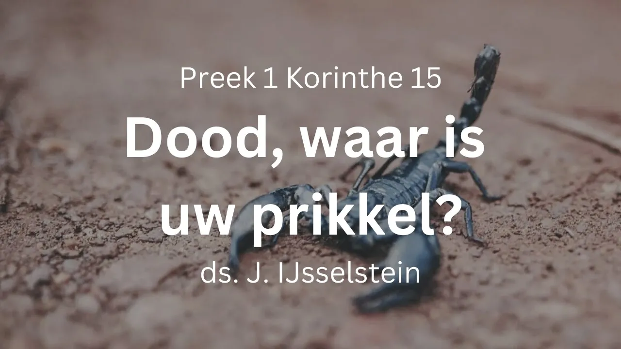 Dood Waar Is Uw Prikkel