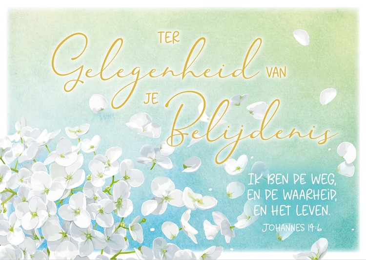 Prentbriefkaart T.Gelegenheid Belijdenis - Belijdenis met tekst - blcwe - Ik Doe Belijdenis Omdat