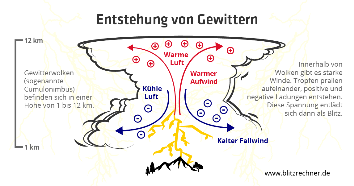 Wie Was De Grondlegger Van De Evolutietheorie