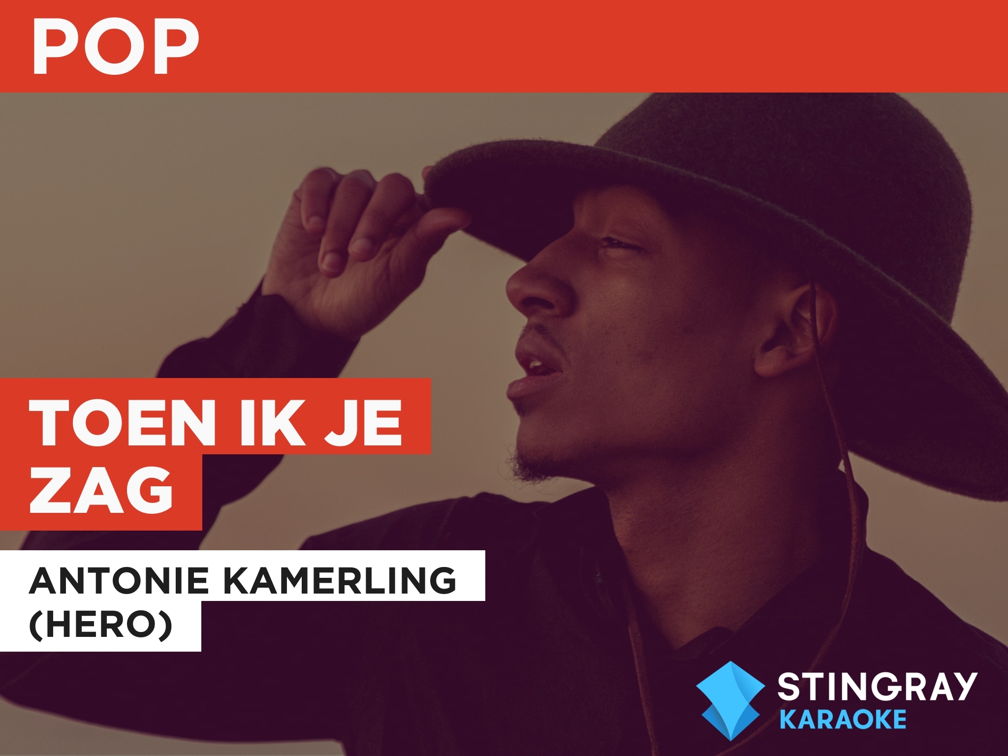 Prime Video: Toen Ik Je Zag in the Style of Antonie Kamerling (Hero) - Toen Ik Je Zag Mijn Leven Met Antonie