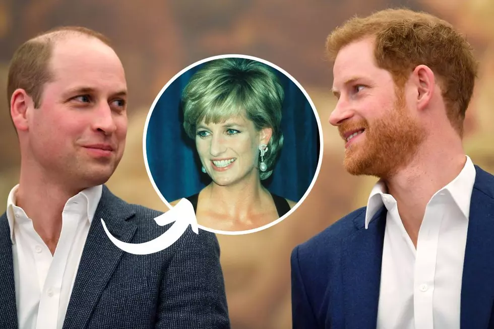 Prince Harry Thinks Prince William No Longer Resembles Diana - Hoe Oud Waren William En Harry Toen Diana Overleed
