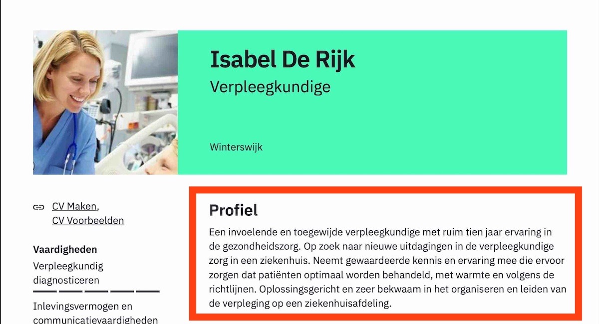 Voorbeeld Cv Met Persoonlijk Profiel
