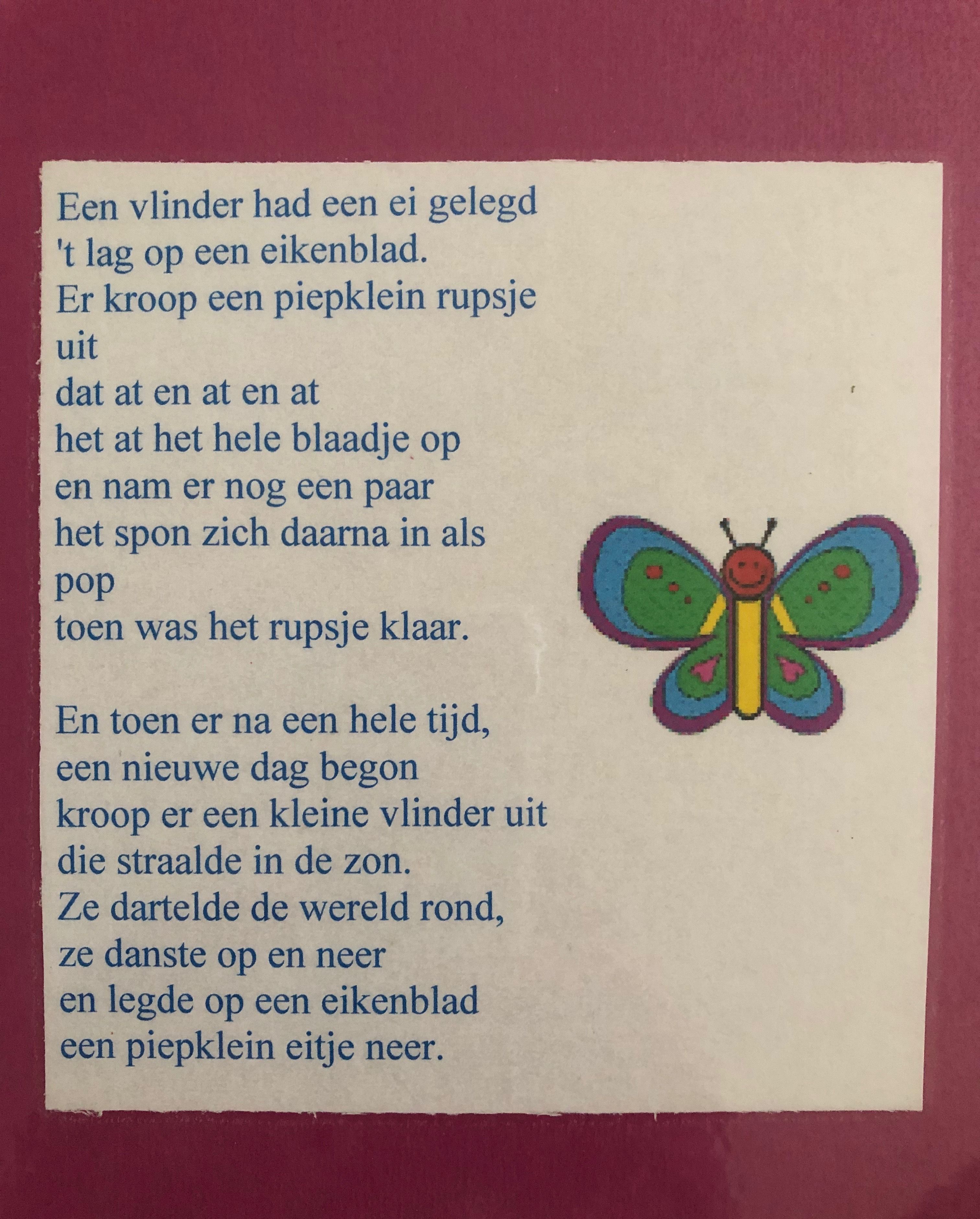 Project rupsen en vlinders ontdek de verandering van rups tot vlinder - Waarom Groeien Rupsen Alleen Vlak Na Een Vervelling
