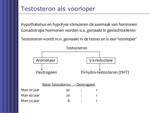 Prostaat Klachten - Hoe Krijg Je Meer Oestrogeen Binnen
