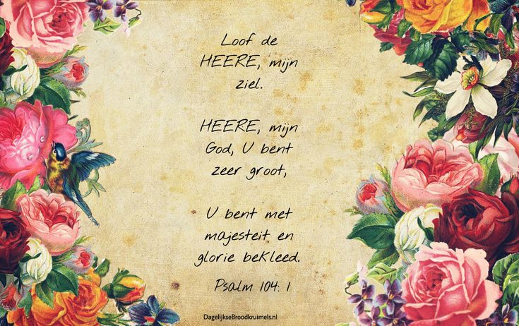 Psalm 104:1 | DagelijkseBroodkruimels | Christelijke citaten - Loof De Heer O Mijn Ziel