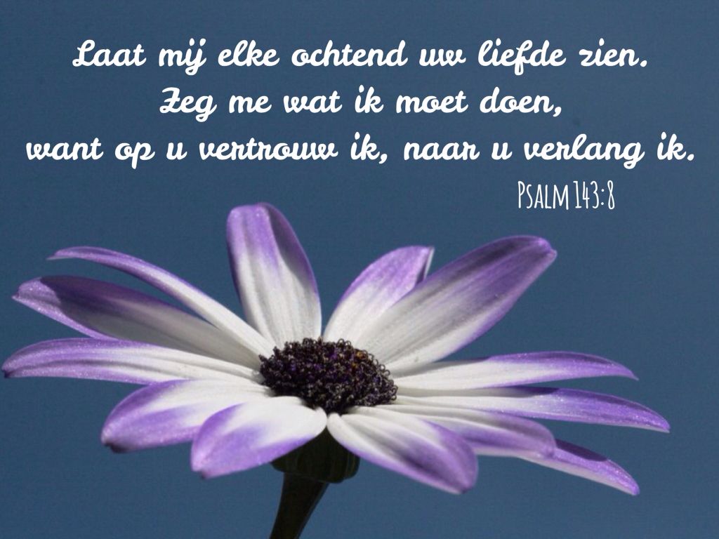 Psalm 143:8 Bijbel in gewone taal - Psalm 37 Bijbel In Gewone Taal