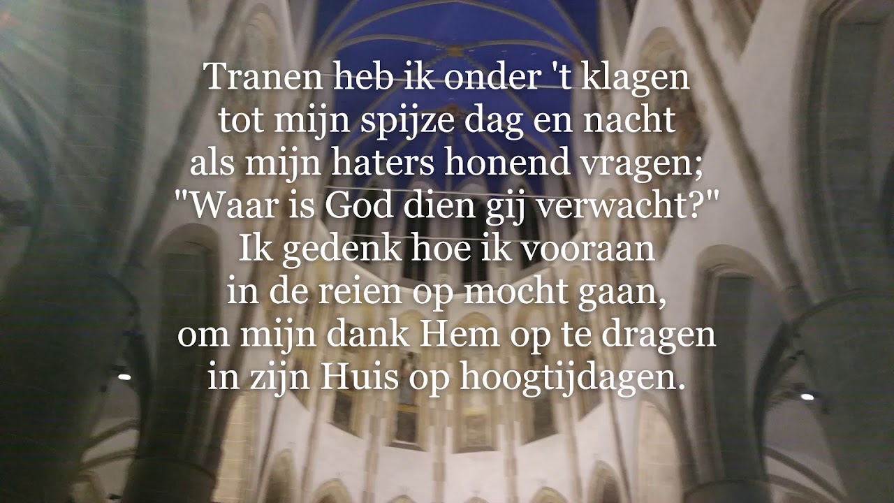 Evenals Een Moede Hinde