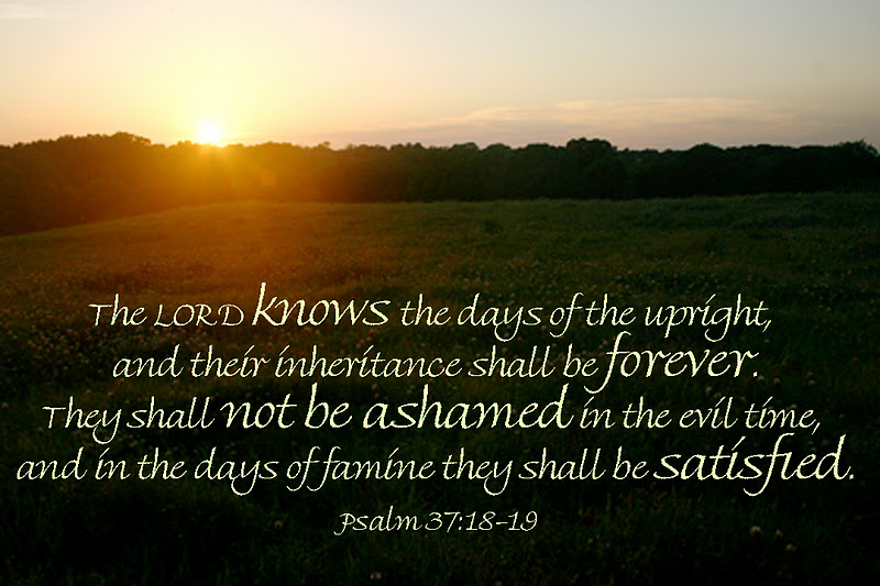 Psalm 37 Bijbel In Gewone Taal