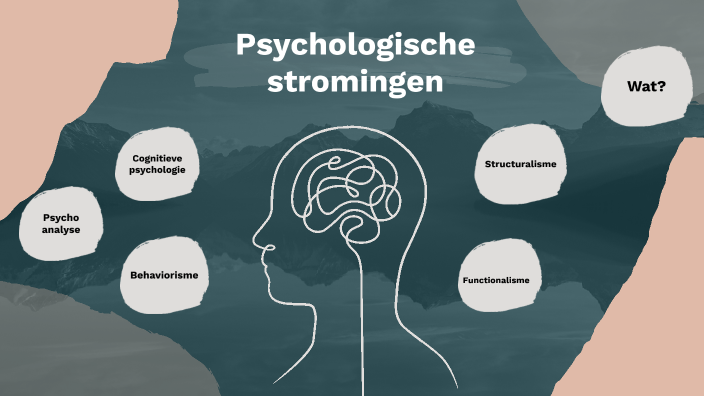 Zes Psychologische Stromingen En één Cliënt