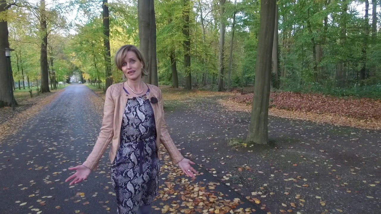 Het Brandpunt De Betteld Doorn