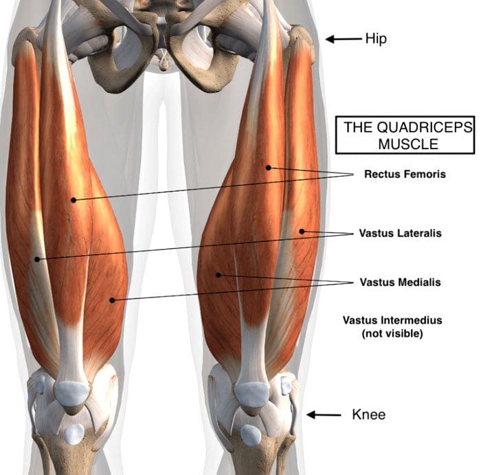 Quadriceps Oefeningen Zonder Knie Te Belasten