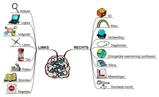 R-Lhersenhelft opvattingen veranderen! | Informatieverwerking | Pinterest - Linker En Rechter Hersenhelft Test