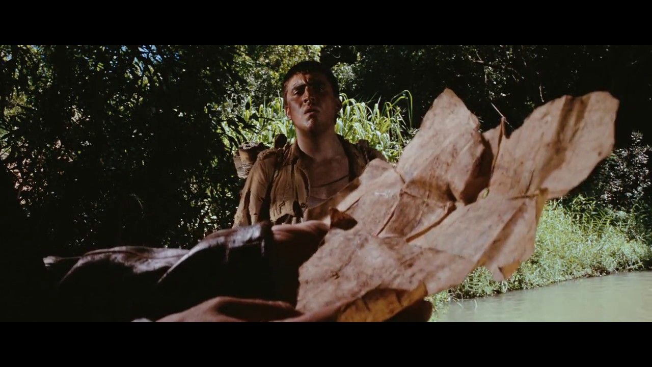 Raiders of the Lost Ark opening scene. The classic reveal of Indiana - Raiders Of The Lost Ark Indiana Jones