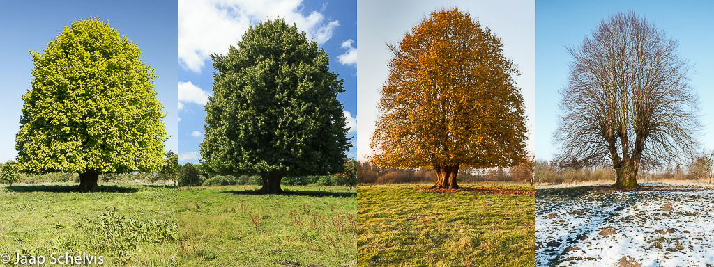 Registrerende landschapsfotografie - Natuurfotografie - Leven Met De Seizoenen