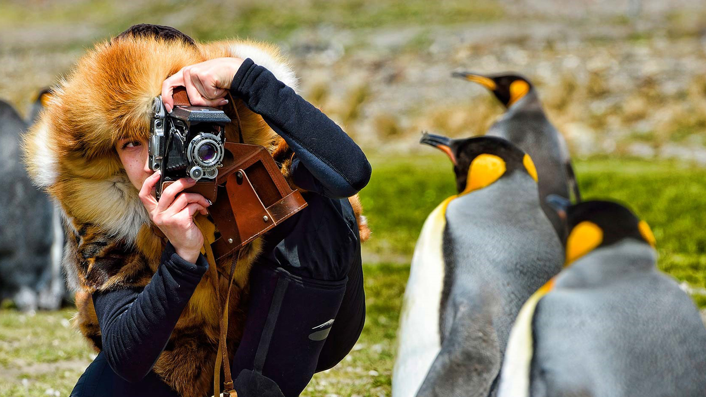 Reizen naar Antarctica - Spottingwildlife - Vuurland Antarctica En Zuid Atlantische Eilanden