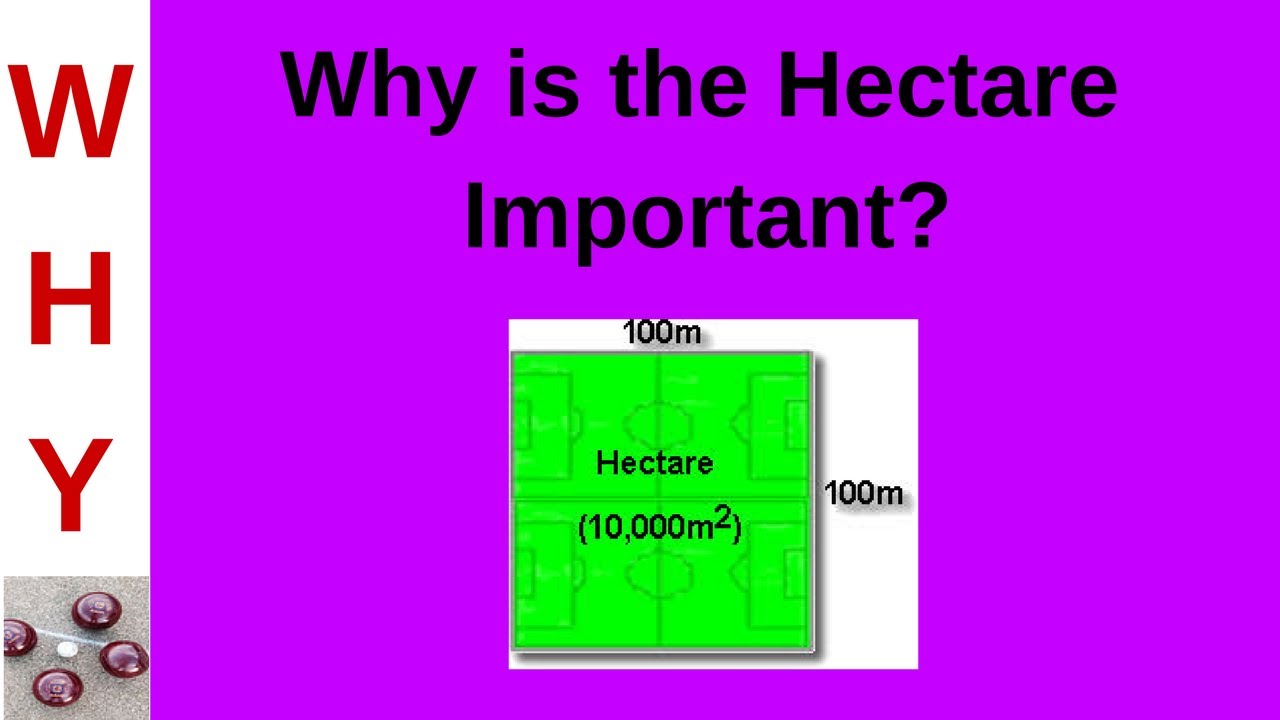 Relevance of the Hectare - YouTube - Wat Is Een Hectare In Meters