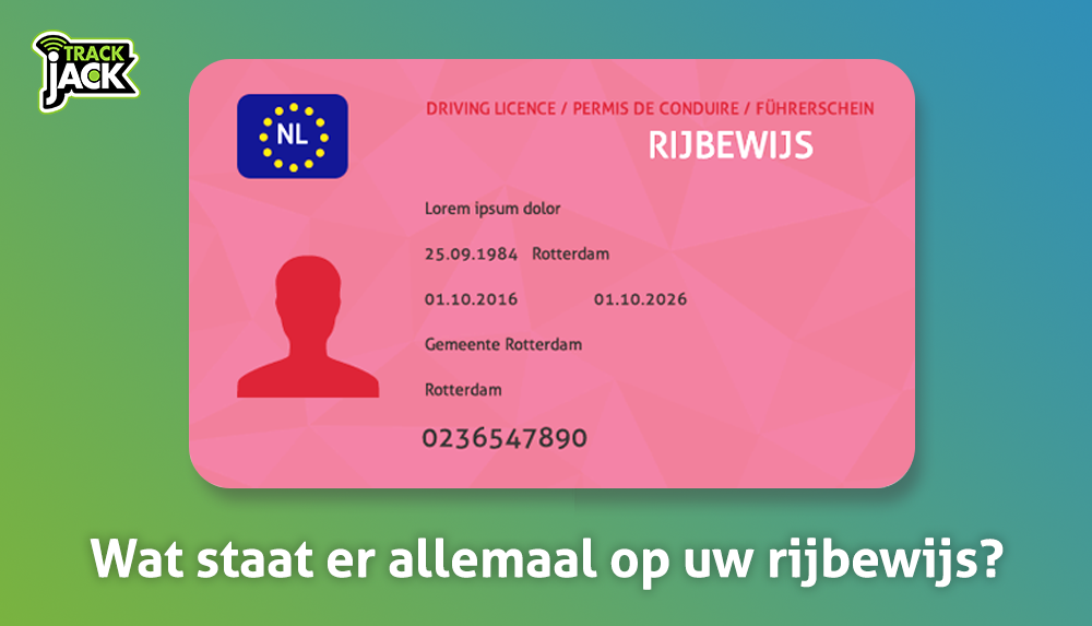 Rijbewijs | HamdyHamaiyu - Wat Staat Er Op Een Cv