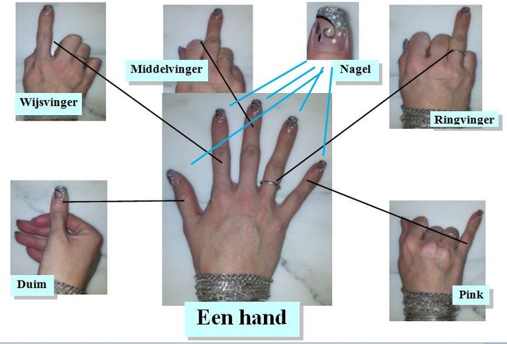 Ringvinger, Middelvinger, Wijsvinger - Ringvinger Langer Dan Wijsvinger Vrouw