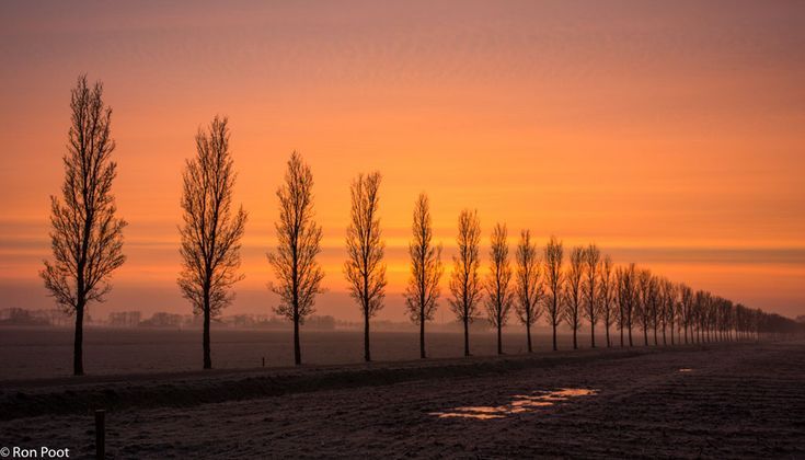 Ritmische herhalingen in 2022 | Fotografie, Foto, Kunstwerk - Herhaling Goede Tijden Slechte Tijden
