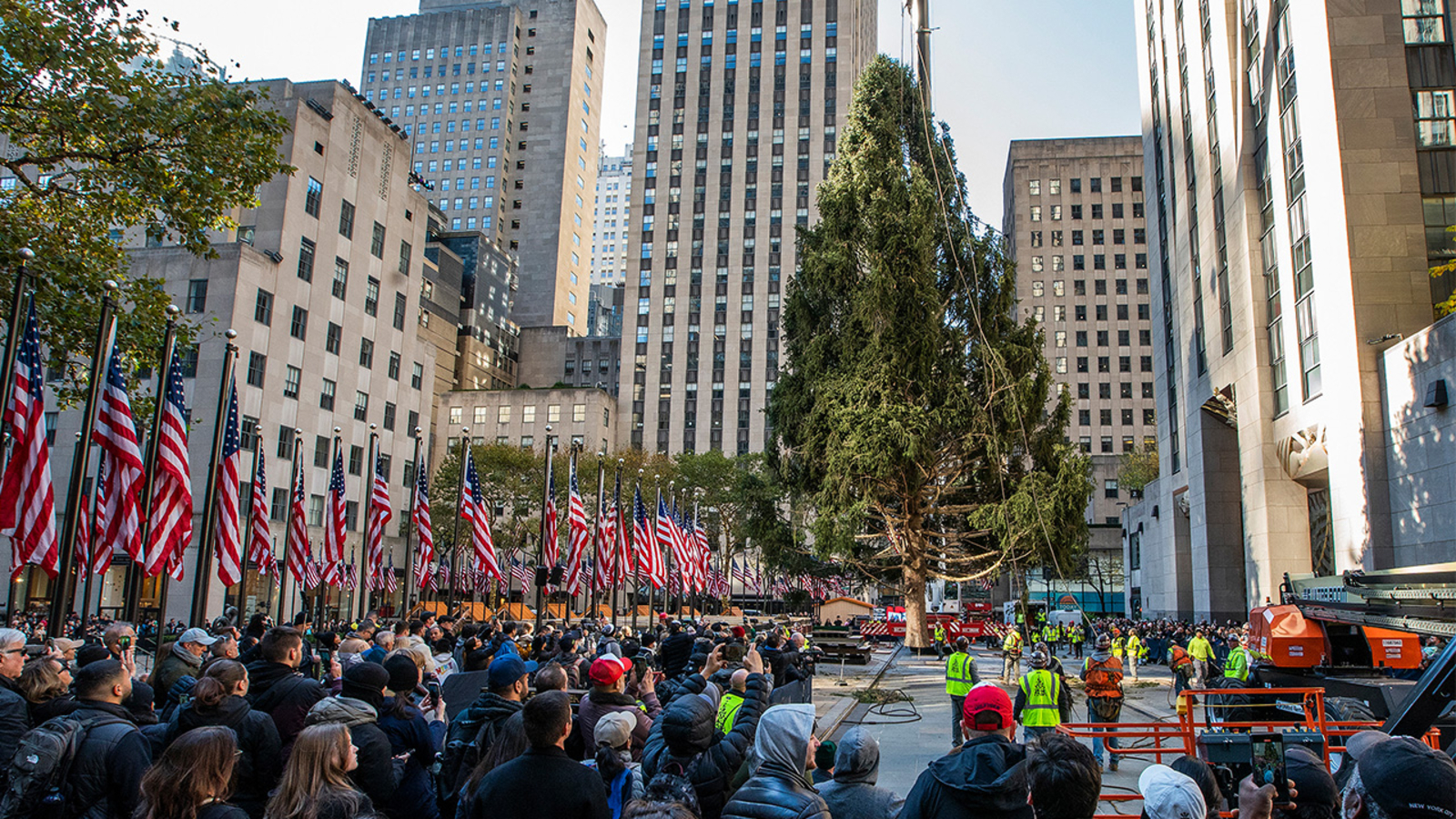 Rockefeller Center Christmas tree from Vestal, New York arrives in NYC - Hoeveel Mensen Wonen Er In New York