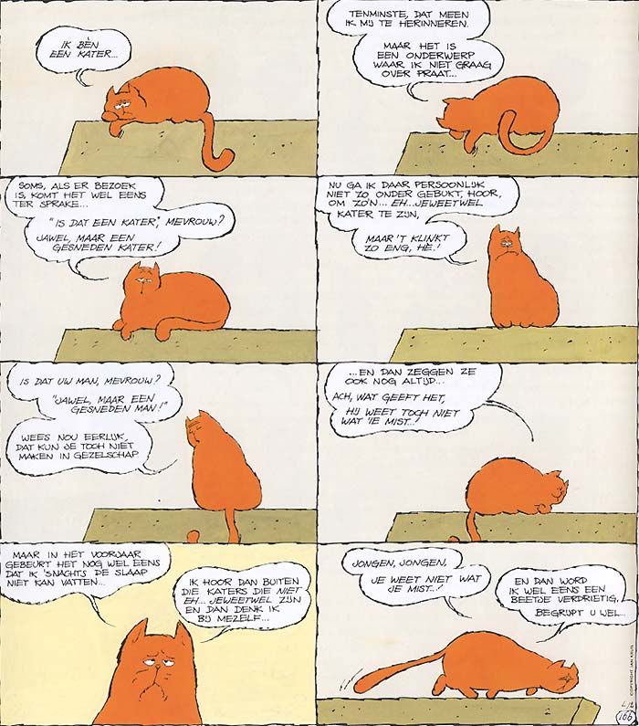 Jan Jans En De Kindereren Kat