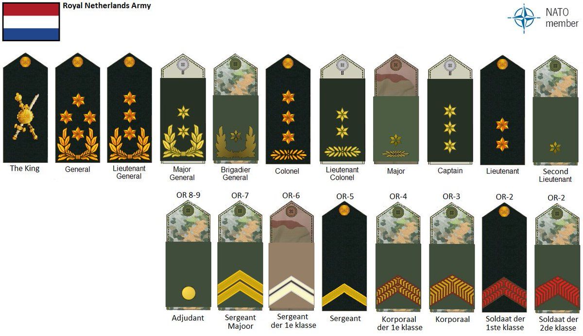 Royal Army Netherlands rank insignia Military Ranks, Ranking - Rangen In Het Leger Nederland
