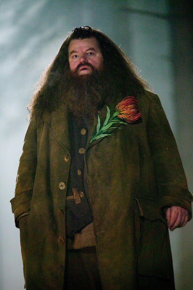 Rubeus Hagrid Wallpapers - Wallpaper Cave - Hoe Heet De Wolfshond Van Rubeus Hagrid Uit Harry Potter