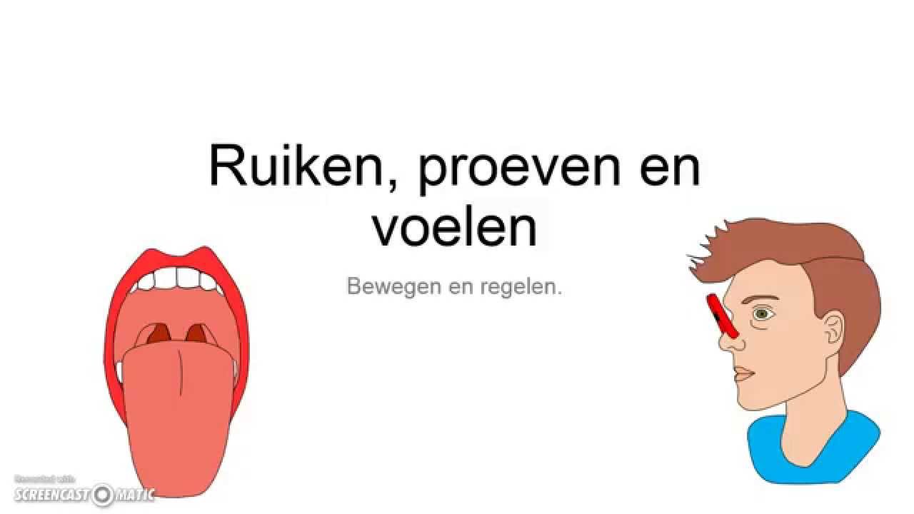 Ruiken, proeven en voelen - YouTube - Welke Smaken Proef Je Met Je Tong