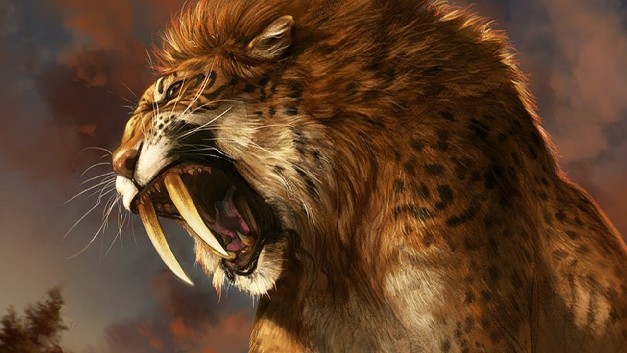 Saber Tooth Tiger | Ice Age Prehistoric Mammals | Science Documentary - Hoe Heet De Sabeltandtijger In Ice Age
