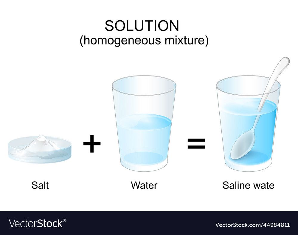 Saline Water Experiment Diagram on VectorStock - Hoe Maak Je Een Zoutoplossing